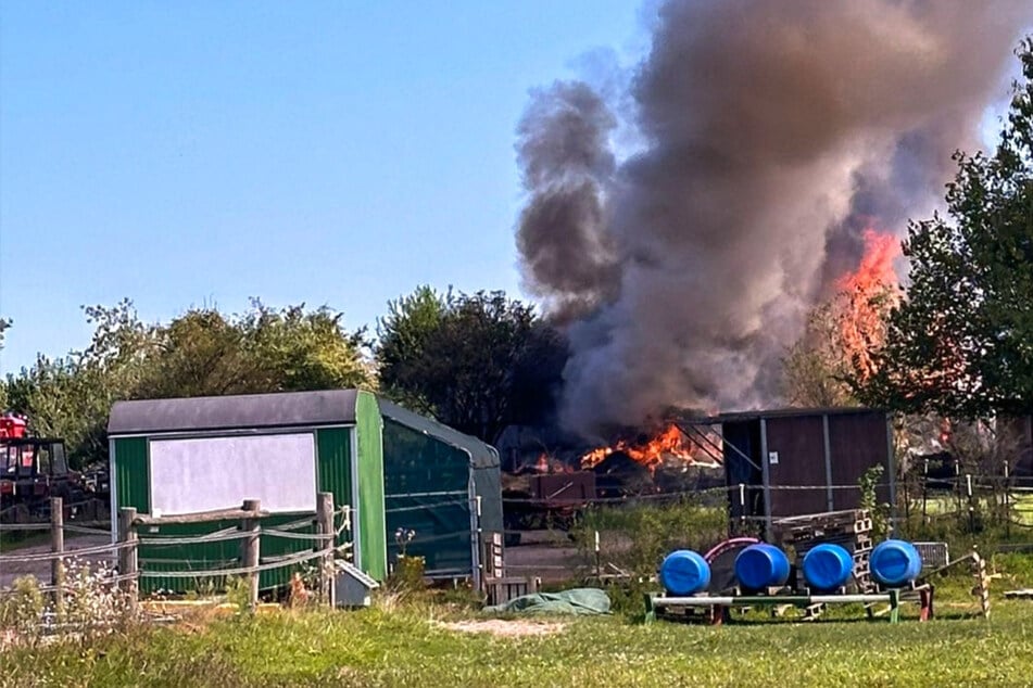 Heuballen fackeln ab, dann wird es sogar der Bahn zu heiß