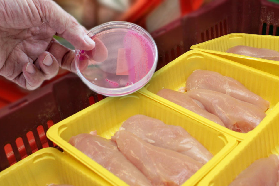 Durchfallerreger nachgewiesen! Jedes zweite Hähnchen im Handel verseucht