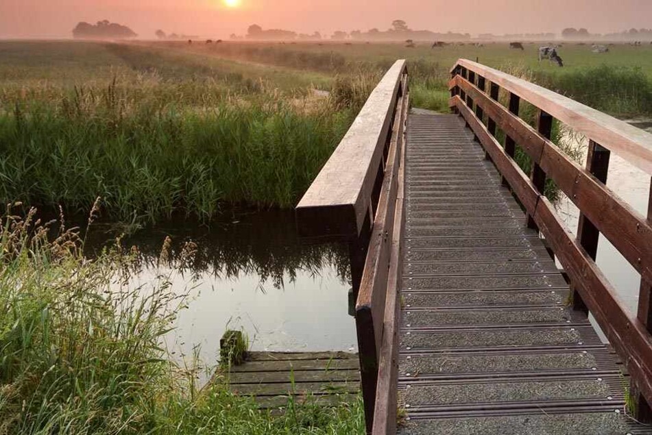 Die Holzbrücke krachte zusammen, mehrere Kinder stürzten in einen Bach.