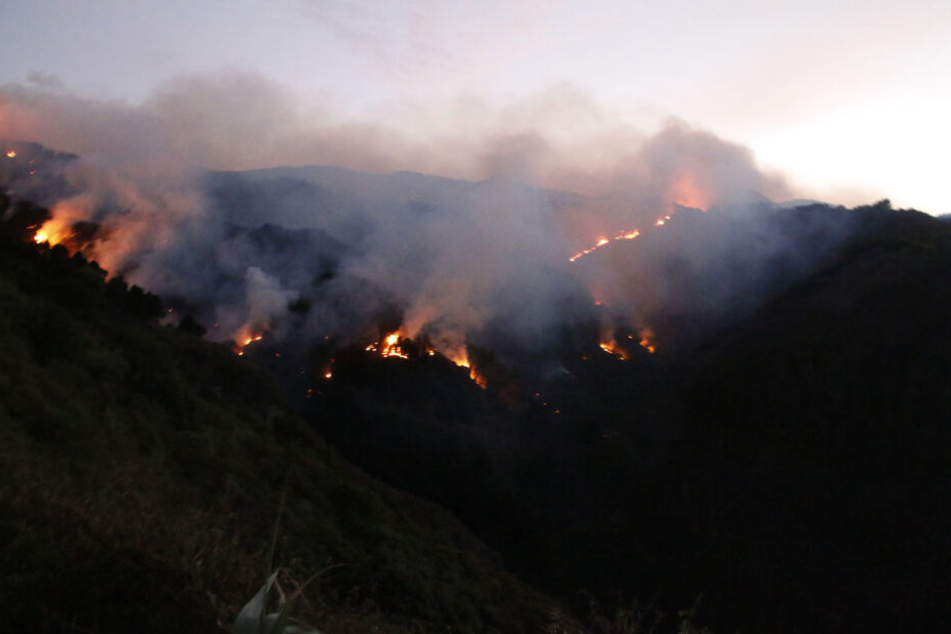 Flammen breiten sich bei einem Waldbrand in Valleseco auf der Insel Gran Canaria aus.