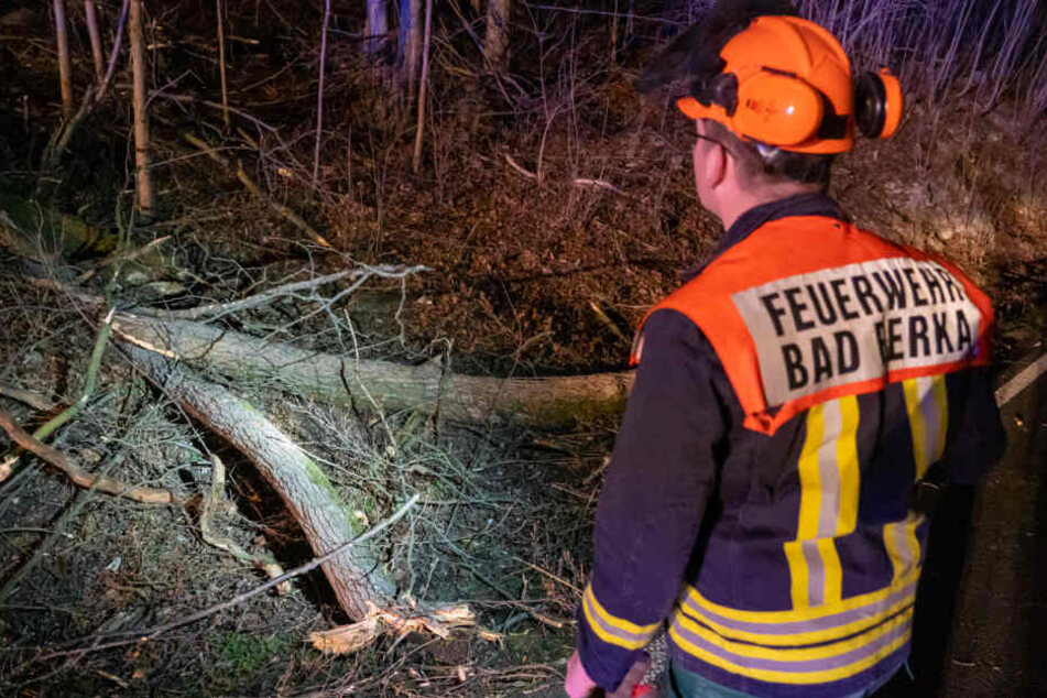 Sturm "Victoria" über Thüringen: Zug kracht in Baum, Feuerwehr im Dauereinsatz