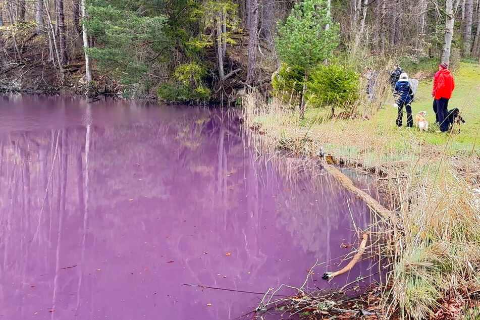 Naturwunder im Faulenbacher Tal: Darum leuchtet dieser See in lila Farben