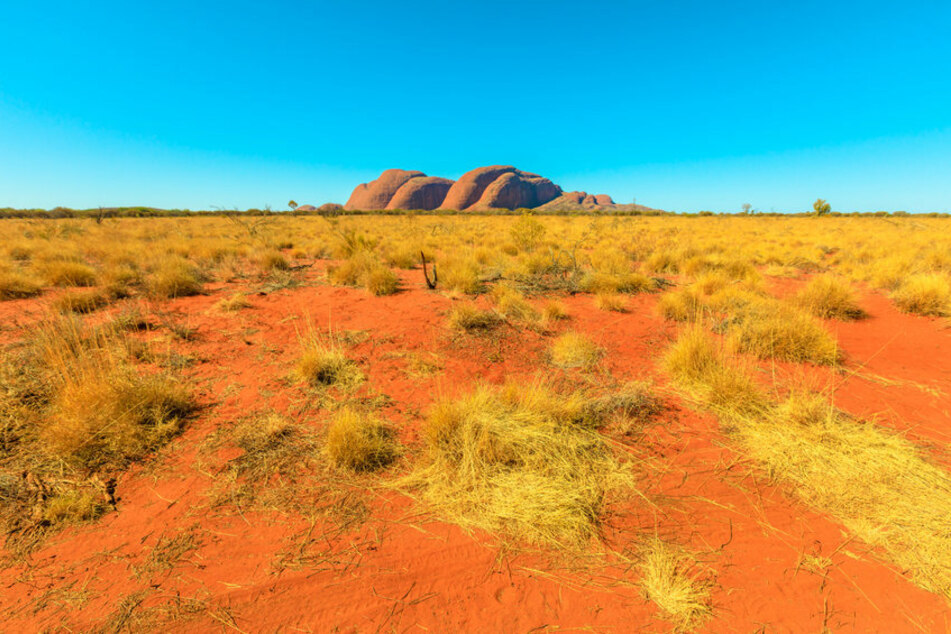 Mehrere Tage verharrten die beiden Männer ohne jede Verpflegung im Outback. (Symbolbild)