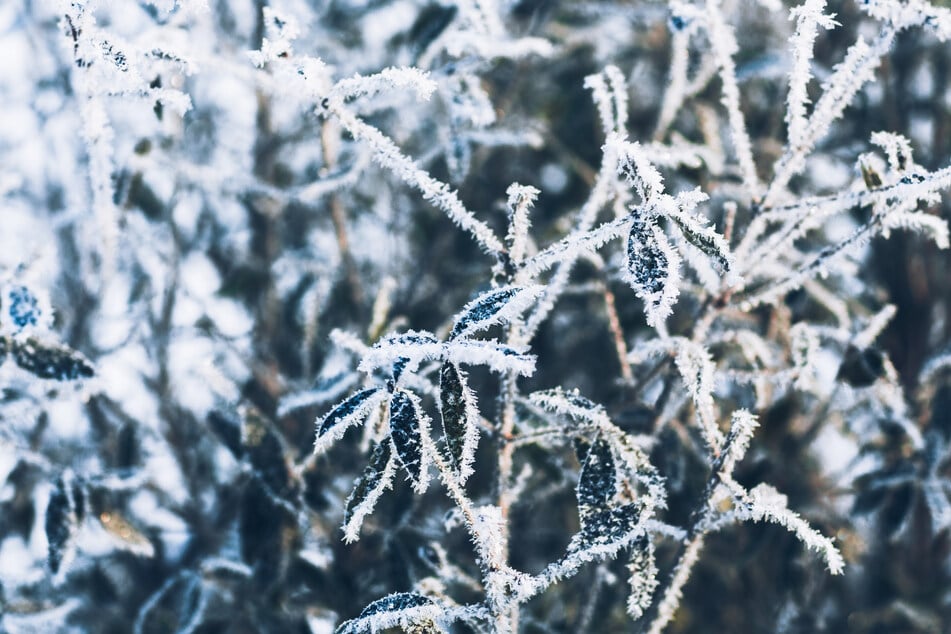Am Samstagnachmittag kann es in ganz Sachsen zu Glatteis und Frost kommen. (Symbolfoto)