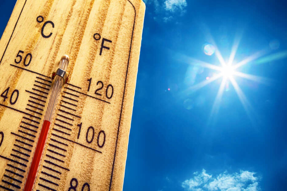 Sonne und Sahara-Luft bringen das Thermometer zum Steigen. (Symbolbild)