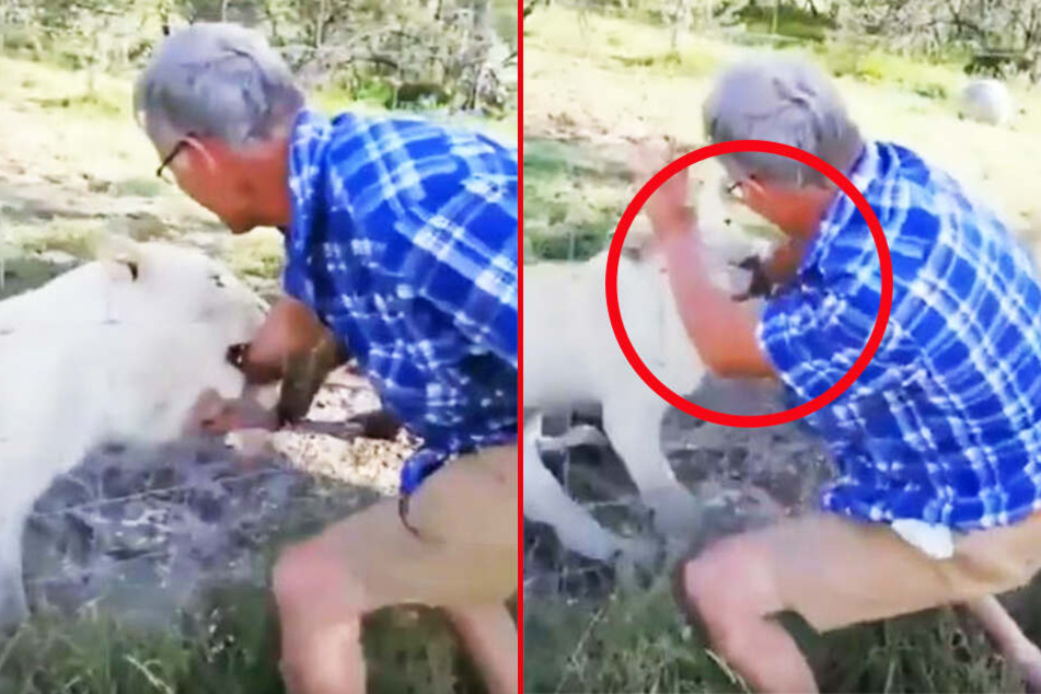 Pieter Nortje (55) verlor bei der Biss-Attacke fast seinen Unterarm.