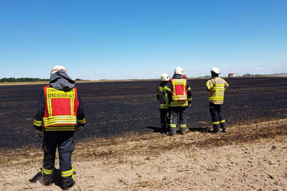 In Gerichshain zerstörten die Flammen große Teile eines Feldes.