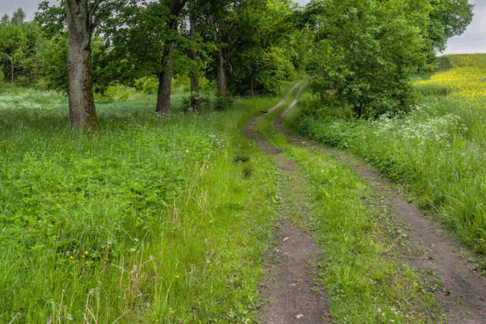 Ein 16-jähriger Mopedfahrer hat am Abend des Karfreitags auf einem gesperrten Landweg einen auf der Fahrbahn liegenden Mann überfahren und getötet. (Symbolbild)