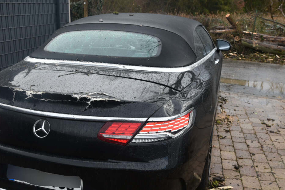 Durch einen Baum wurde der Mercedes erheblich beschädigt.