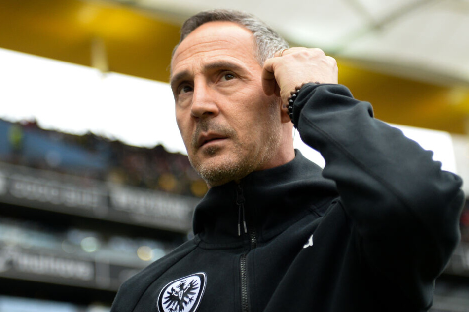 Adi Hütter freut sich auf den Liga-Endspurt.
