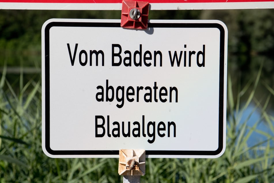 An manchen Seen wird vom Schwimmen abgeraten.
