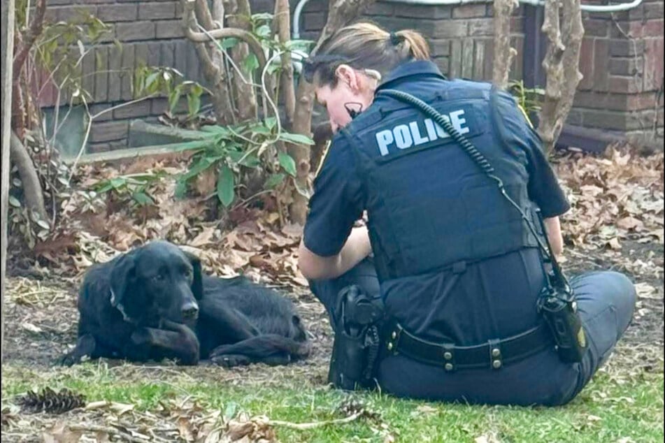 Polizistin Megan Feidler kümmerte sich rührend um Maeve, sodass diese ihre Angst ein wenig verlor.