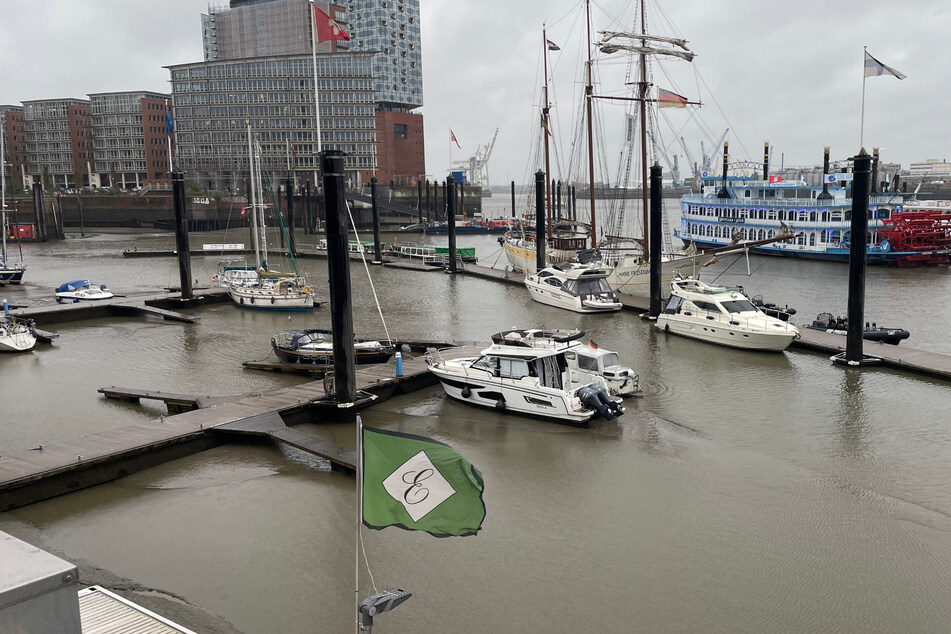 Im Hamburger Hafen liegen viele Schiffe aufgrund einer Sturmebbe auf Grund.