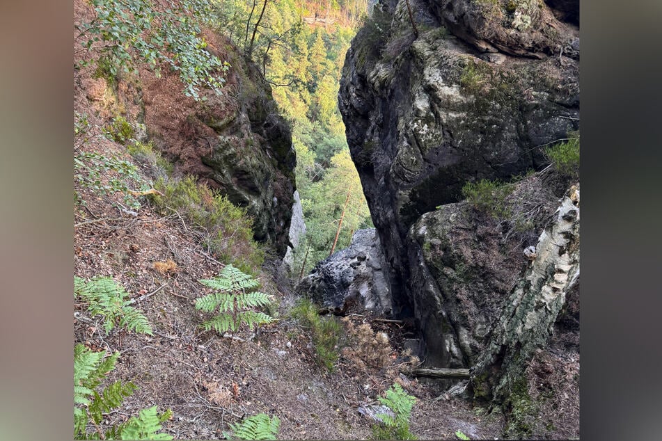 Nahe dem Kurort Rathen stürzte ein Wanderer (59) am Dienstagnachmittag 20 Meter in die Tiefe.