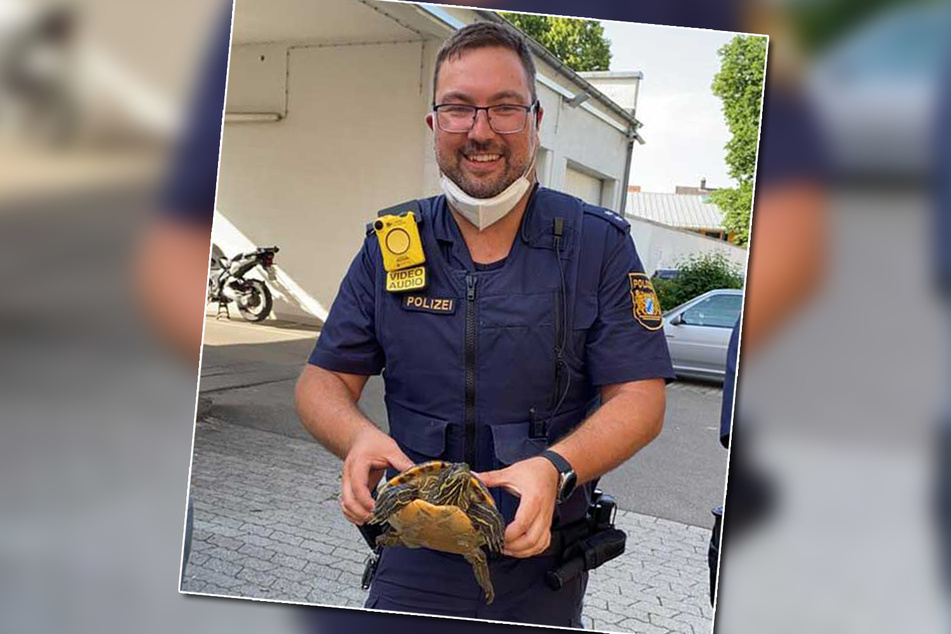 Fluchtversuch zwecklos: Das vermutlich ausgebüxte Tier konnte von den Polizeibeamten in Sicherheit gebracht werden.