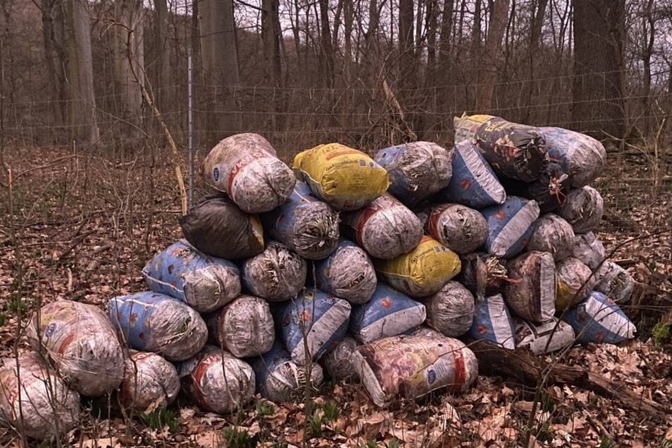 Aufgestapeltes Diebesgut: Diese Säcke mit zusammen rund einer Tonne illegal geerntetem Bärlauch entdeckten Ranger 2023 im Leipziger Auwald.