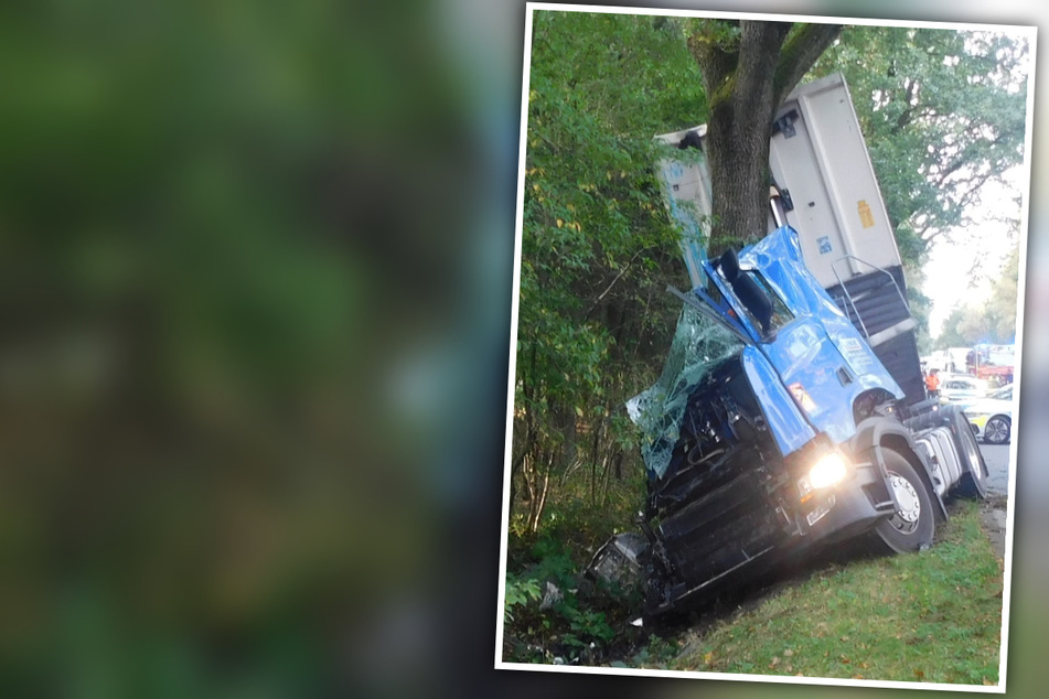 Tödlicher Unfall auf Bundesstraße: Laster stößt frontal mit Baum zusammen