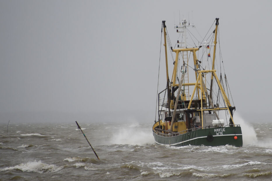Ein Fischkutter fährt bei Wellengang auf der Nordsee. (Symbolbild)