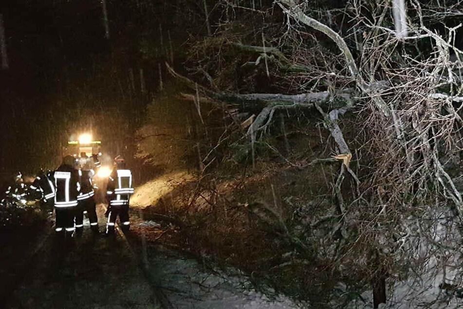 Feuerwehrleute vor Ort räumen die Strecke frei.