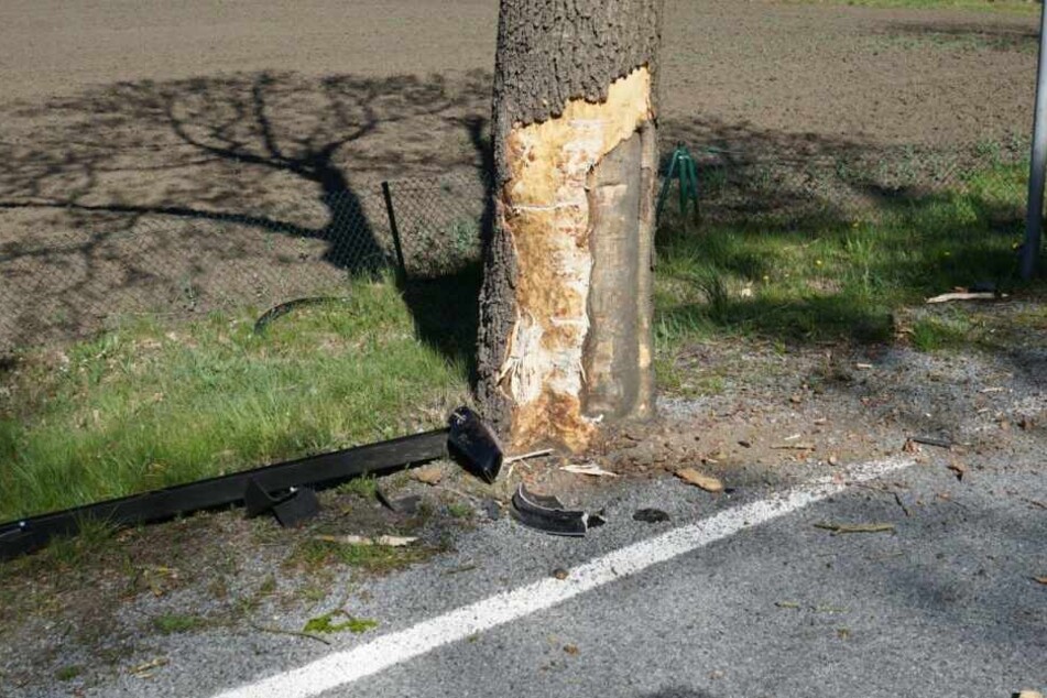Die Kia-Fahrerin war gegen diesen Baum gefahren.