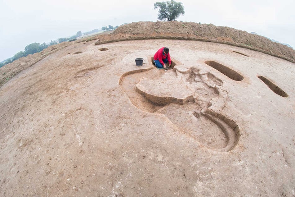 Die Wissenschaftler des Landschaftsverbandes Westfalen-Lippen legen ein 7000 Jahre altes Gräberfeld aus der frühen Jungsteinzeit frei
