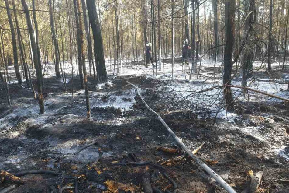 Die Feuerwehr konnte eine Ausbreitung verhindern.