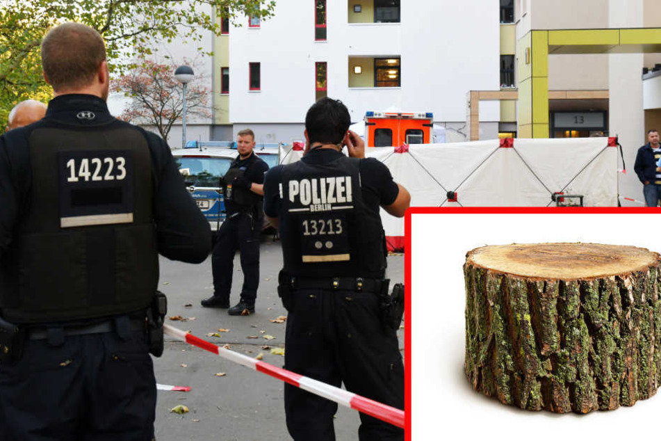 Polizisten sichern den Tatort im Märkischen Viertel. Der Junge wurde von einem Baumstumpf erschlagen. (Symbolbild)