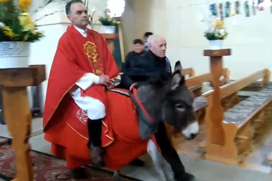Priester reitet Esel - zu viel für die Tierschützer.