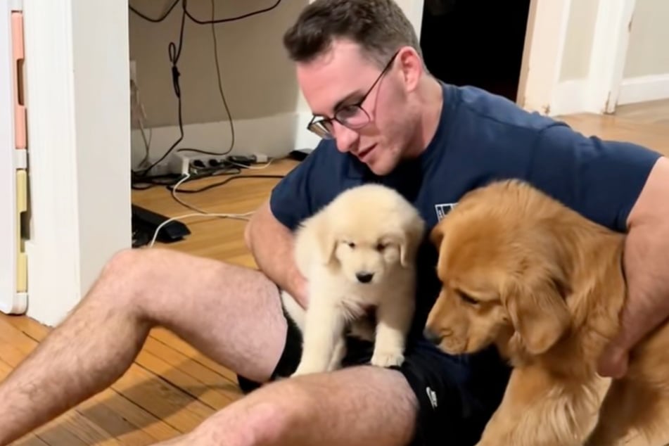 Gewalt ist keine Lösung: Als Wyatt Feltner seine Hündin Leia zu sich heranzieht, damit sie Welpen-Mädchen Daisy näher kommt, wehrt die sich umso mehr.