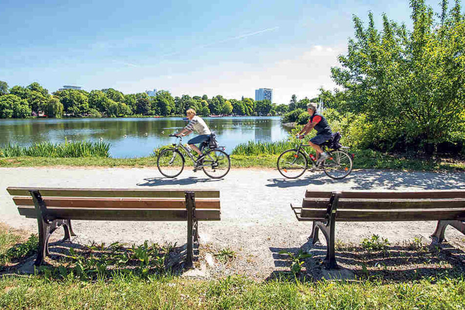 Radfahrer lieben das Schlossteichgelände. Aber die Wege sind
löchrig, teils bröckelt der Asphalt. Besserung nicht in Sicht.