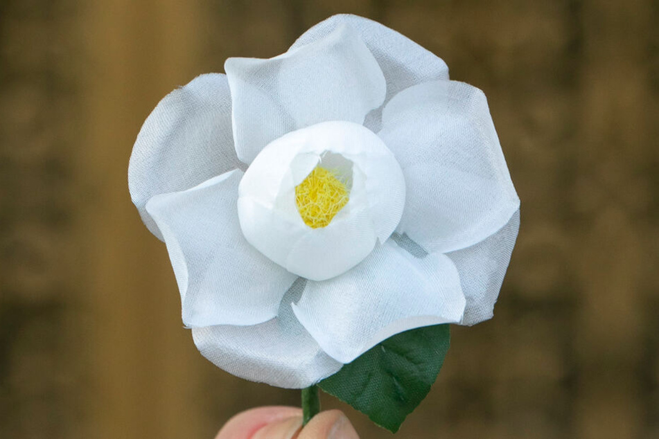 Die weiße Rose ist ein Zeichen für die Überwindung von Krieg, Rassismus und Gewalt, dient auch als Symbol gegen die krude ideologische Verzerrungen des Gedenktages.