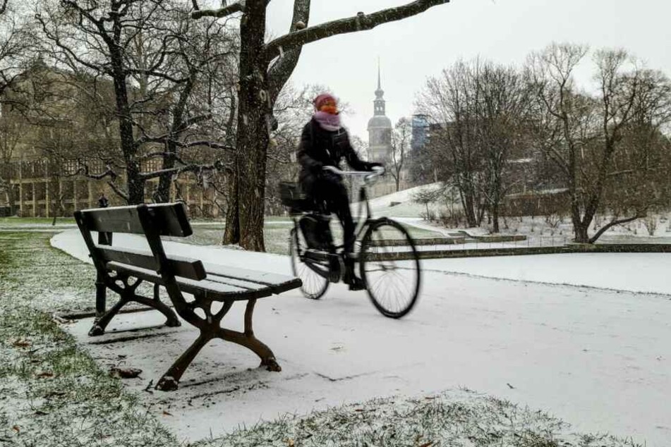 Am Zwingerteich in Dresden sah es schön weiß aus.