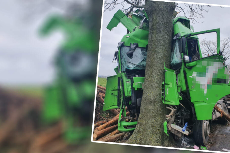 Holztransporter prallt frontal gegen Baum