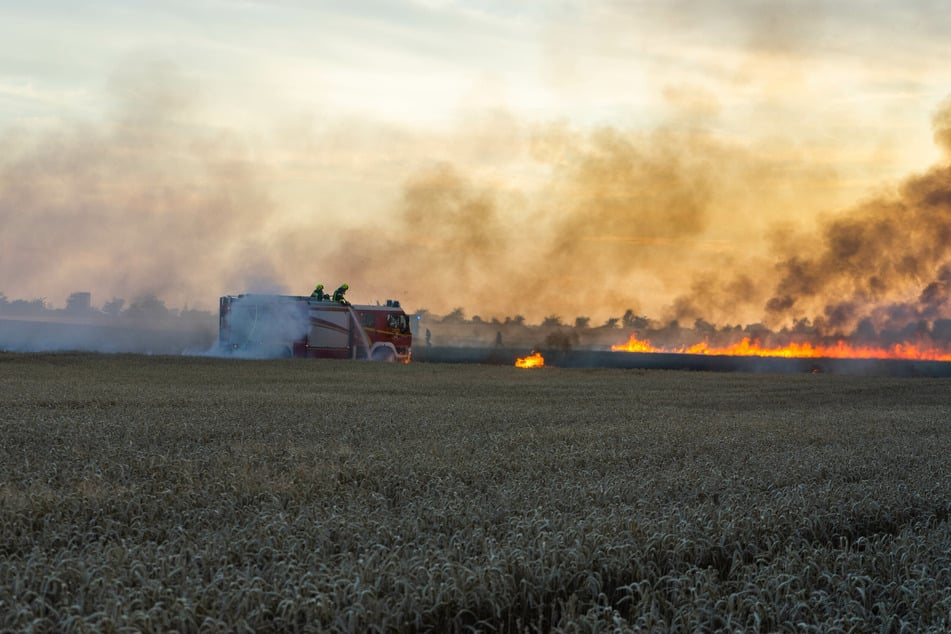 Die Ursache für das Feuer war zunächst noch unklar.