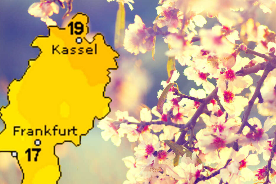Insbesondere der Samstagnachmittag könnte ein regelrechter Frühlingstraum werden.