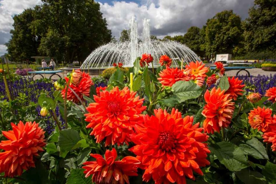 Vor der BuGa2021 in Erfurt soll der Egal-Park saniert werden.