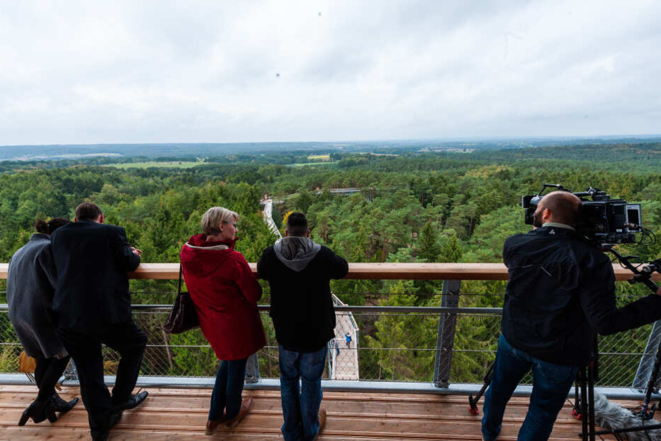 Gäste blicken vom Aussichtsturm des Baumwipfelpfades auf die Landschaft.
