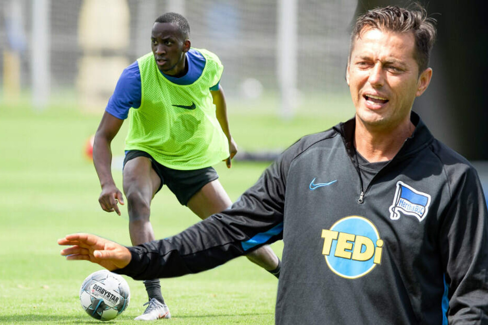 Dodi Lukebakio könnte im Pokal sein Debüt geben. (Bildmontage)