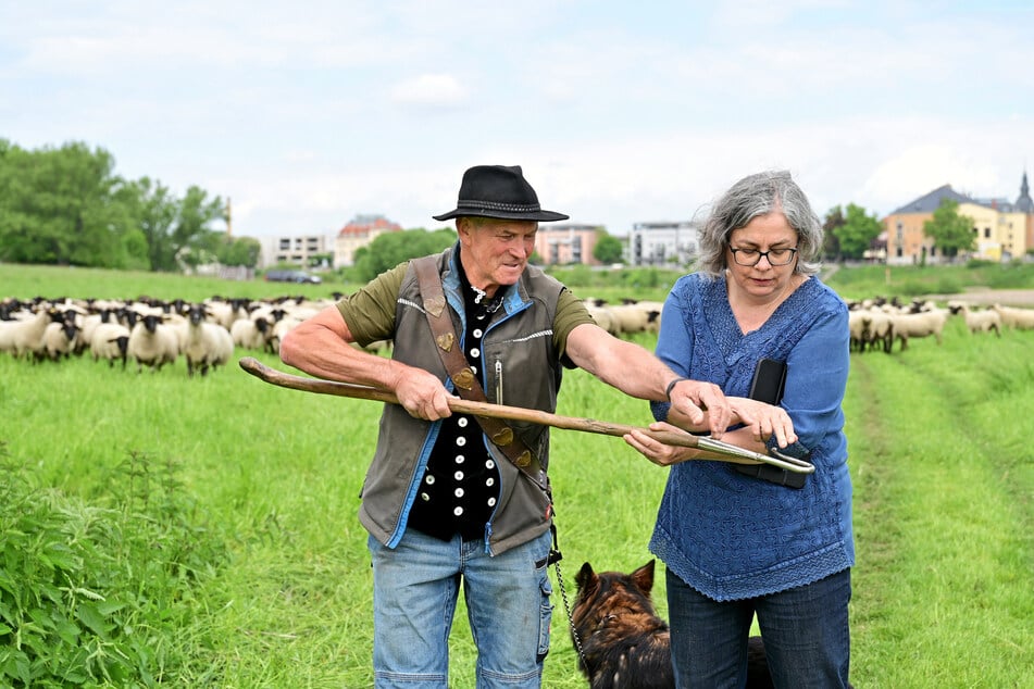Der erfahrene Schäfer erklärte Umweltbürgermeisterin Eva Jähnigen (59, Grüne) wie ein Hütestock funktioniert.