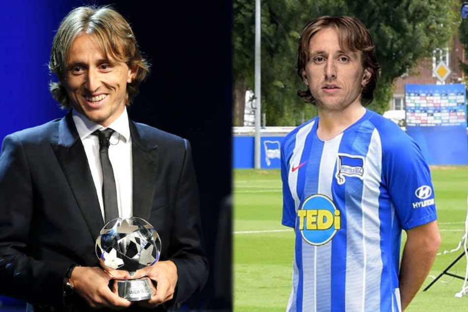 Kickt Europas Fußballer des Jahres Luka Modric (32) bald im Hertha-Trikot? (Bildmontage)