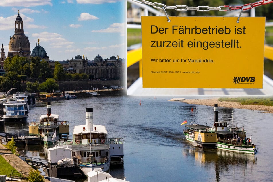 Dresden: Fähren stehen still: Niedriger Elbpegel bremst Schiffsverkehr aus