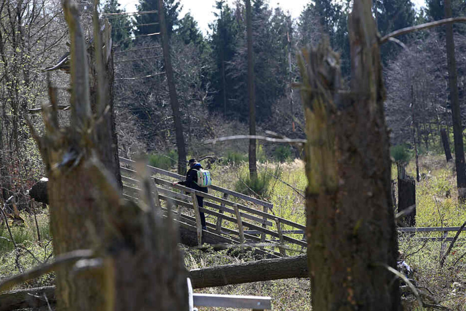 Etliche Wanderwege führen durch das Gebiet.