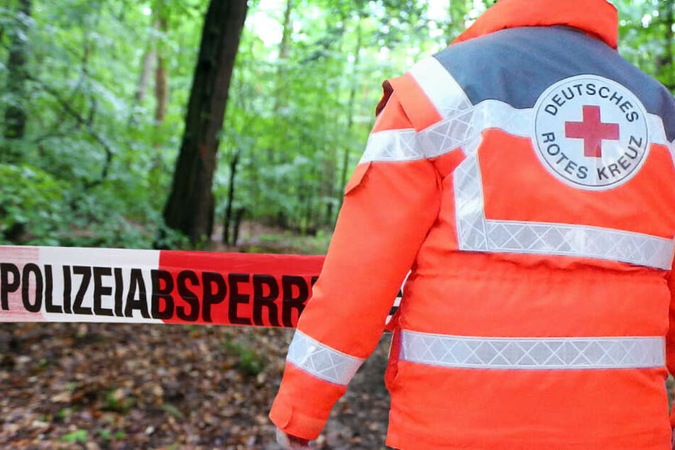 Das Flugzeug stürzte in einen Wald neben der Startbahn (Symbolbild).