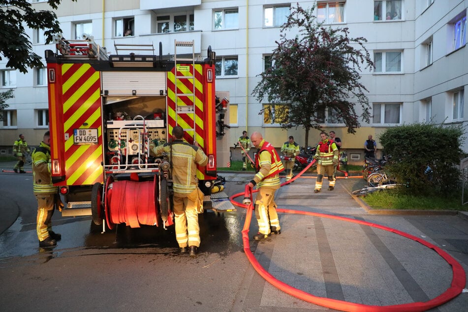 Die Dresdner Feuerwehr kümmerte sich am Abend um die Flammen.