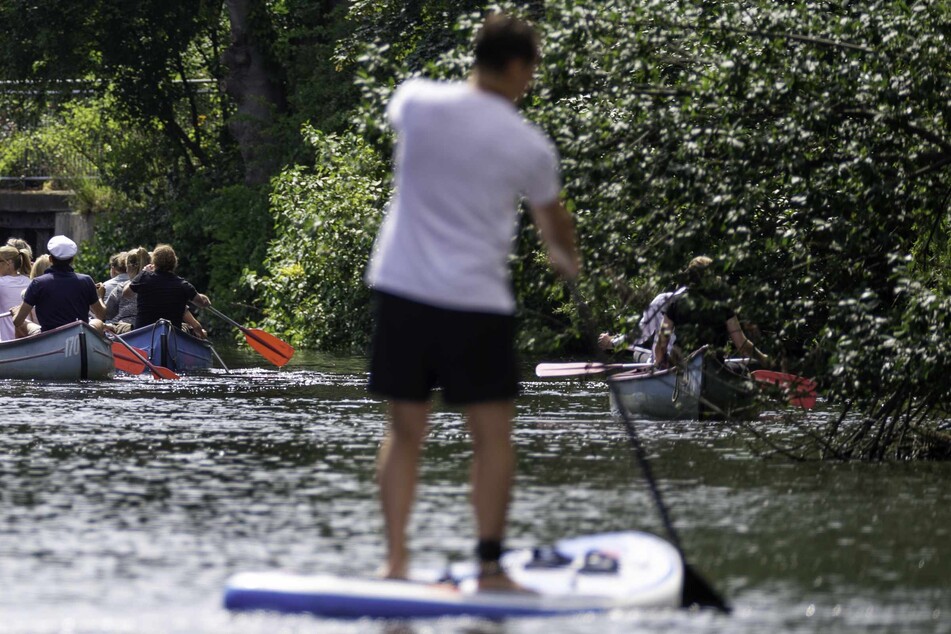 Freizeitsportler in Ruderbooten und auf einem Stand-Up-Board sind auf einem Alsterkanal unterwegs. Das sorgt zunehmend für Probleme.