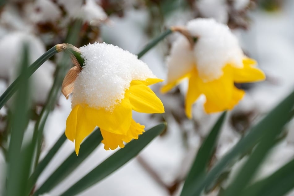 NRW-Wetter wird ungemütlich: Hier soll es sogar Neuschnee geben