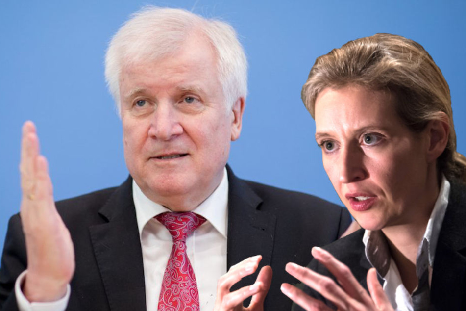 AfD-Chefin Alice Weidel (39) verteidigt Horst Seehofer (69, CSU). (Bildmontage)