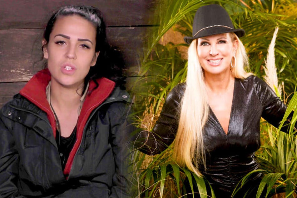 Dschungelcamp: Elena will Bombe platzen lassen! Hat Claudia den Wendler betrogen?