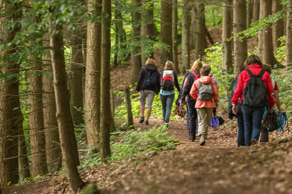 Mit dem Bus kann man zum Wandervergnügen im Erzgebirge starten.