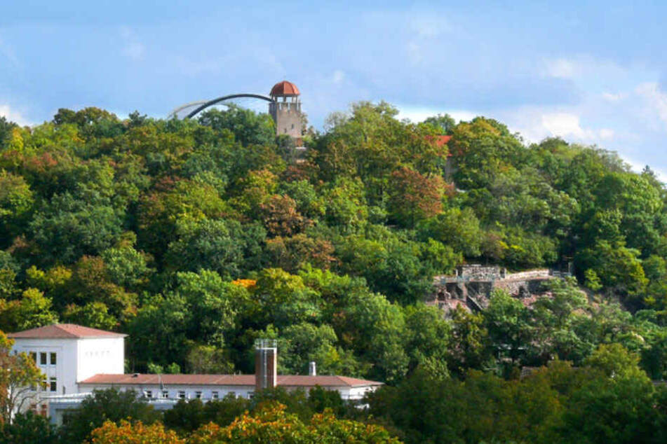 Im Bergzoo in Halle(Saale) sollen acht tote Vögel in einem Kühlhaus versteckt worden sein.